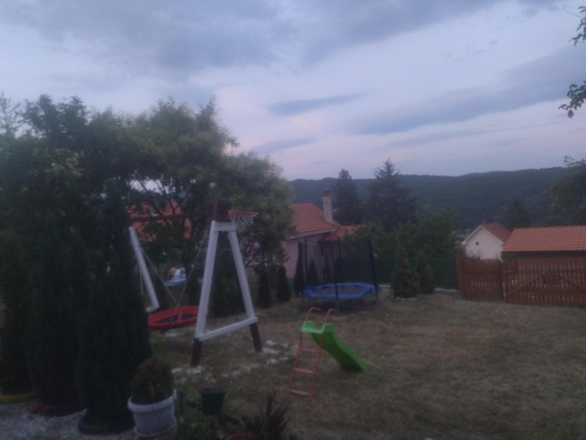 Bor, Savaca - Porodicna Vikendica Za Izdavanje 外观 照片